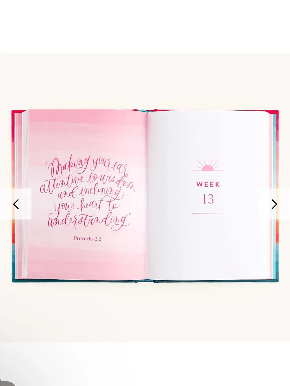 Emily Ley hardcover journal
